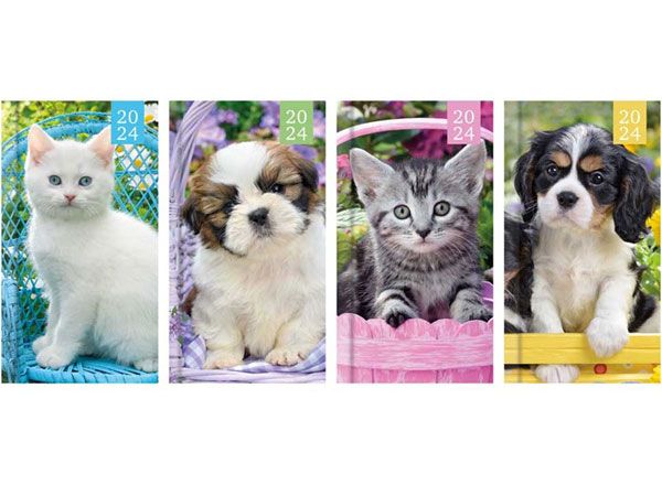 24 x 2024 Week To View Slim Diary -Photographic Kitten & Puppy Diary