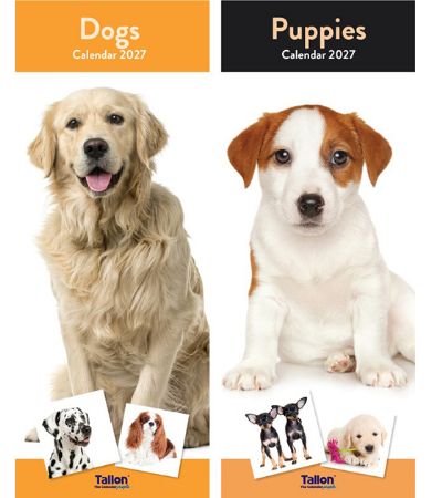Wholesale Supler Slim 2027 Calendar | Puppies & Dogs