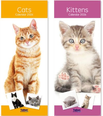 2026 Super Slim Kitten & Cats Calendar Cats | Wholesale