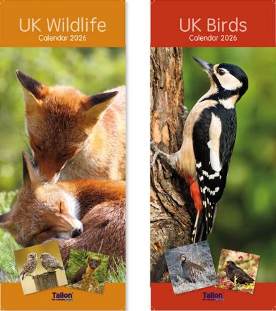 Wholesale 2026 Super Slim Calendar | Birds & Wildlife
