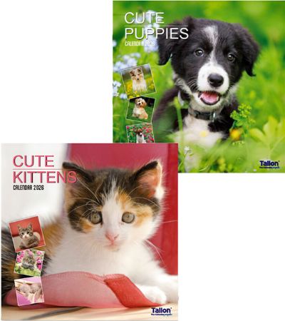 2026 Square Calendar | Puppies And Kittens | Wholesale