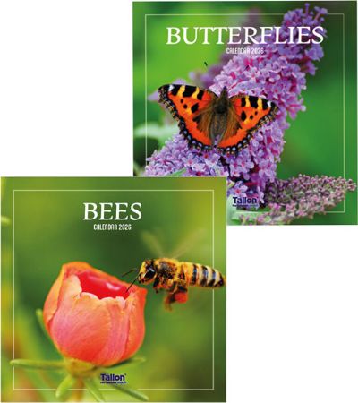 Wholesale 2026 Square Wall Calendar | Bees & Butterflies