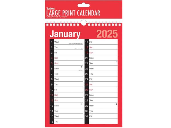 12x 2025  2 Column Month To View Planner