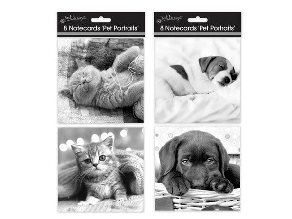 Just To Say...8pk Square Cats & Dogs Notecards - For All Occasions