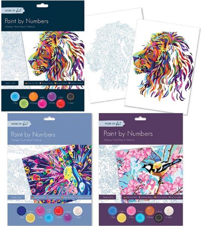 Paint By Numbers Senior, Assorted Picked At Random | 5114