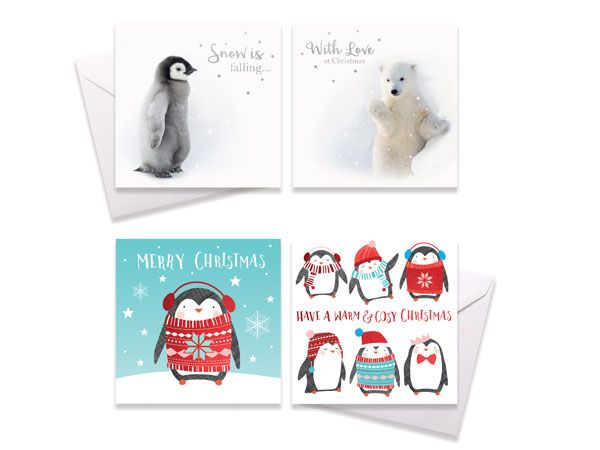 10pk Square Christmas Cards - Winter Animals