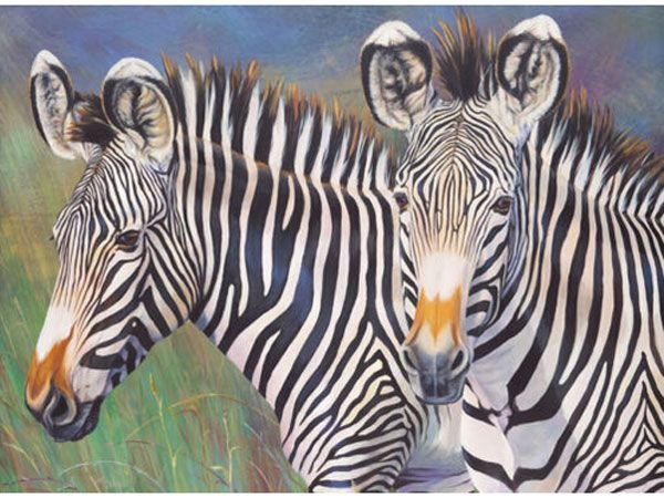 Royal and Langnickel- Large Paint By Numbers, Grevys Zebra