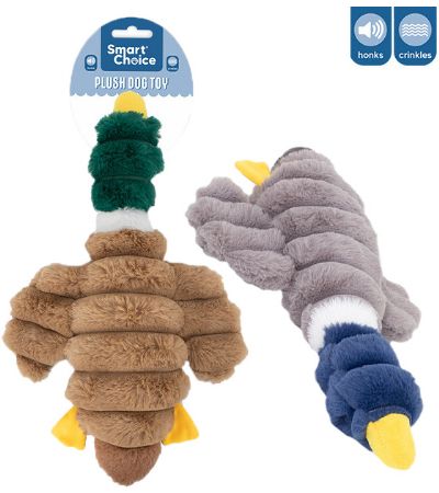 Smart Choice Honking Plush Duck Dog Toy ... Assorted Picked At Random