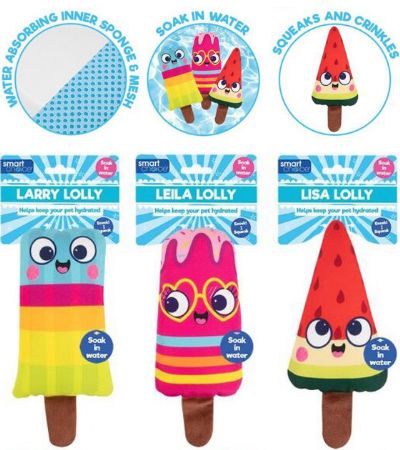 Smart Choice Hydration Squeaky Plush Lolly Dog Toy, Assorted Designs | SCS1586