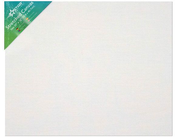 20x Star Artist Canvas Size 20in x 16in...Importer Clearance
