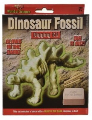 World Of Science - Dinosaur Fossil | TY9520