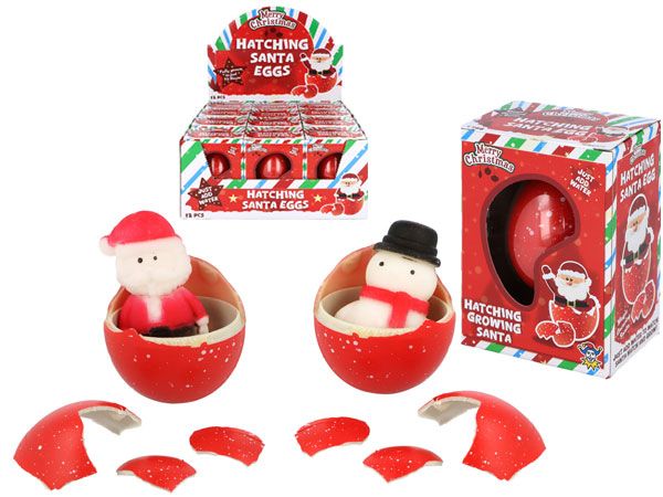 12x Merry Christmas Hatching Santa Eggs | W65387