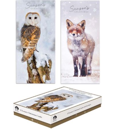 Festive Wonderland 12 Luxury Christmas Cards - Owl/Arctic Fox Designs