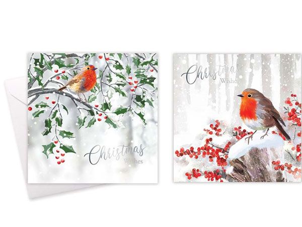 Festive Wonderland 10pk Square Christmas Cards - Winter Robin