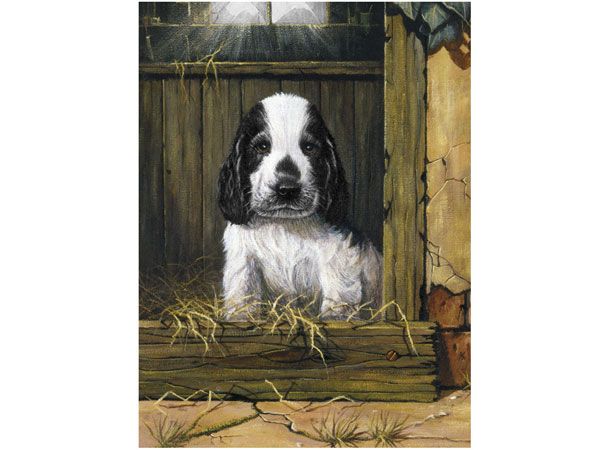 Royal and Langnickel- Paint By Numbers, Spaniel Puppy