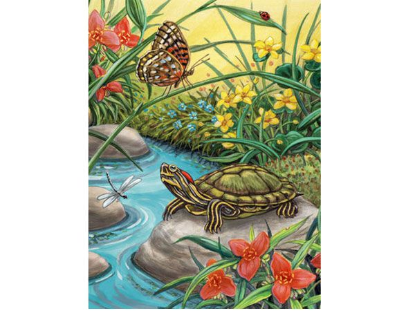 Royal and Langnickel- Paint By Numbers, Red Eared Slider