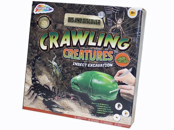 Grafix Dig And Discover Crawling Creatures