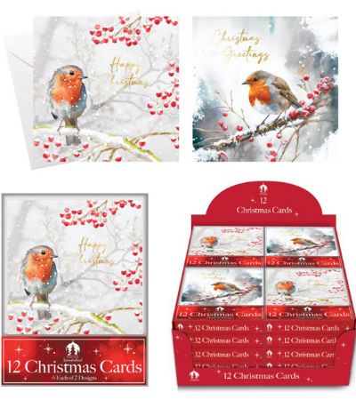 Festive Wonderland 12pk Square Christmas Cards - Robin/Holly Design
