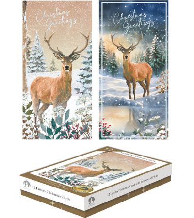 Festive Wonderland 12 Luxury Christmas Cards - Stag Designs